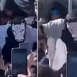 Quiso «farmear aura», pero se dieron cuenta de que era un therian y lo echaron